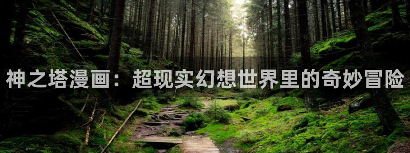 汗汗漫画网站入口：神之塔漫画：超现实幻想世界里的奇妙冒险