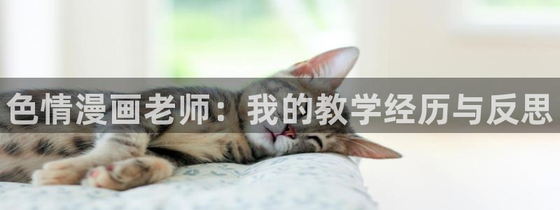 汗汗漫画官网入口：色情漫画老师：我的教学经历与反思