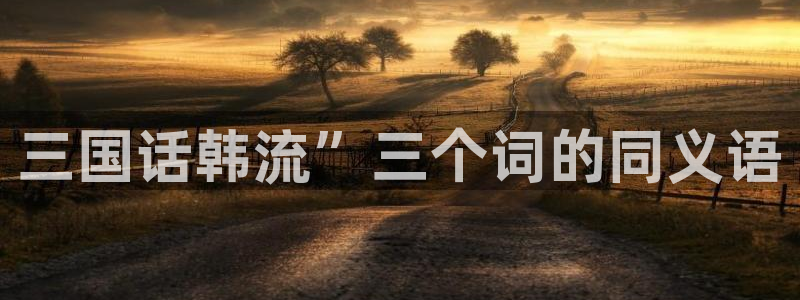 歪歪漫画一一汗汗漫画：三国话韩流”三个词的同义语