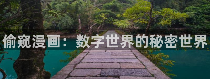 汗汗漫画首：偷窥漫画：数字世界的秘密世界