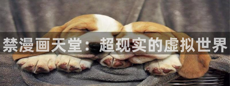 汗汗漫画在线阅读免费漫画阅读下拉式：禁漫画天堂：超现实的虚拟世界