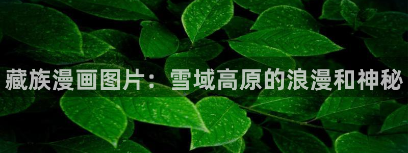 汗汗漫画在线网站：藏族漫画图片：雪域高原的浪漫和神秘