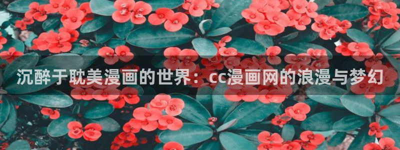 汗汗漫画在线观看免费：沉醉于耽美漫画的世界：cc漫画网的浪漫与梦幻