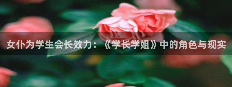 韩版无遮汗汗漫画：女仆为学生会长效力：《学长学姐》中的角色与现实