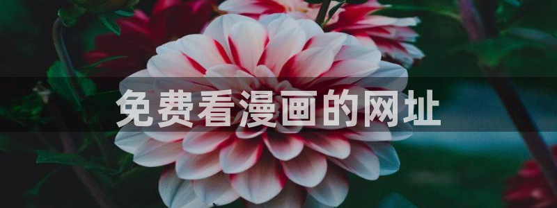 歪歪漫画汗汗漫画网：免费看漫画的网址