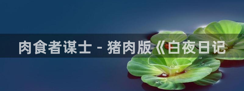 韩国汗汗漫画在线：肉食者谋士 - 猪肉版《白夜日记